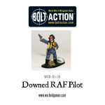 Bolt Action Downed RAF Pilot